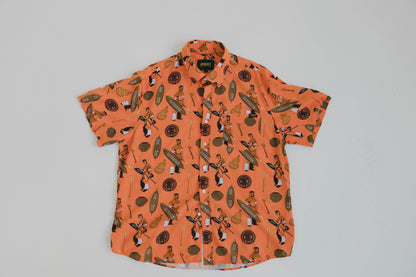 Zulu Warrior